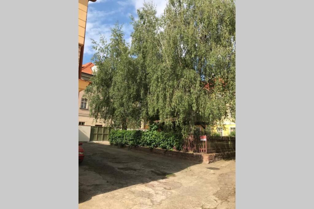 Rose Apartments / Romantic & Cozy / City Center Praha Bagian luar foto