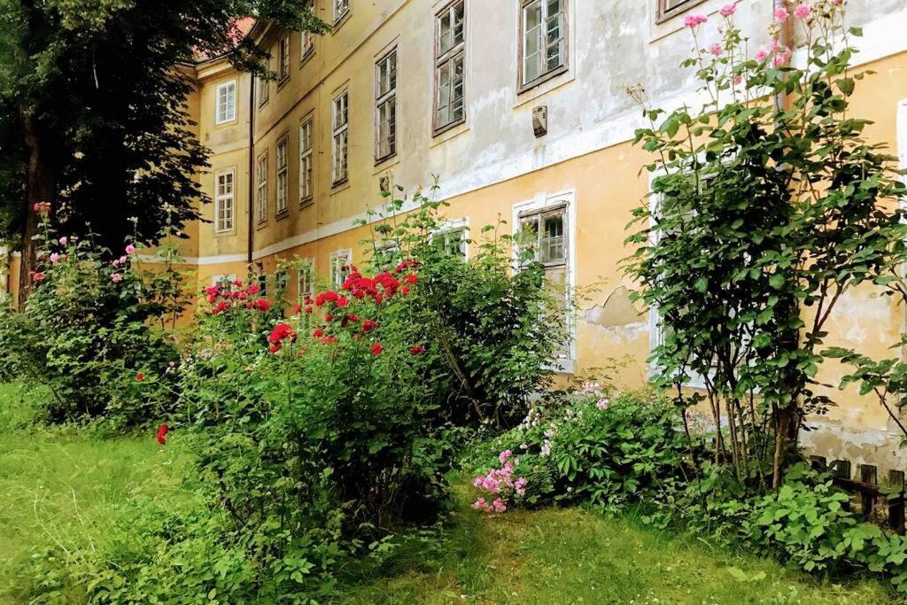 Rose Apartments / Romantic & Cozy / City Center Praha Bagian luar foto